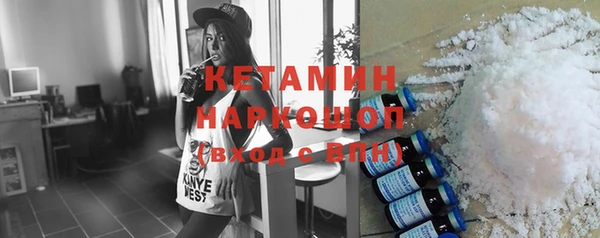 сатива Новозыбков