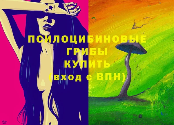 a pvp Няндома